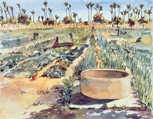 El jardín de las mujeres, Senegal, África Occidental, 1997 de Tilly Willis